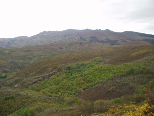 serra do san mamede 3