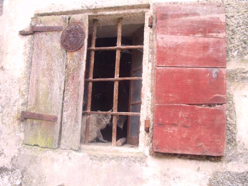 ventana casa vieja