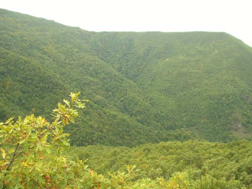 vista da devesa da rogueira